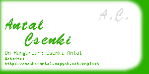 antal csenki business card